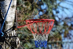 全运会男篮直播在线观看：辽宁VS山东直播（2025年6月11日）赵继伟对决王岚嵚